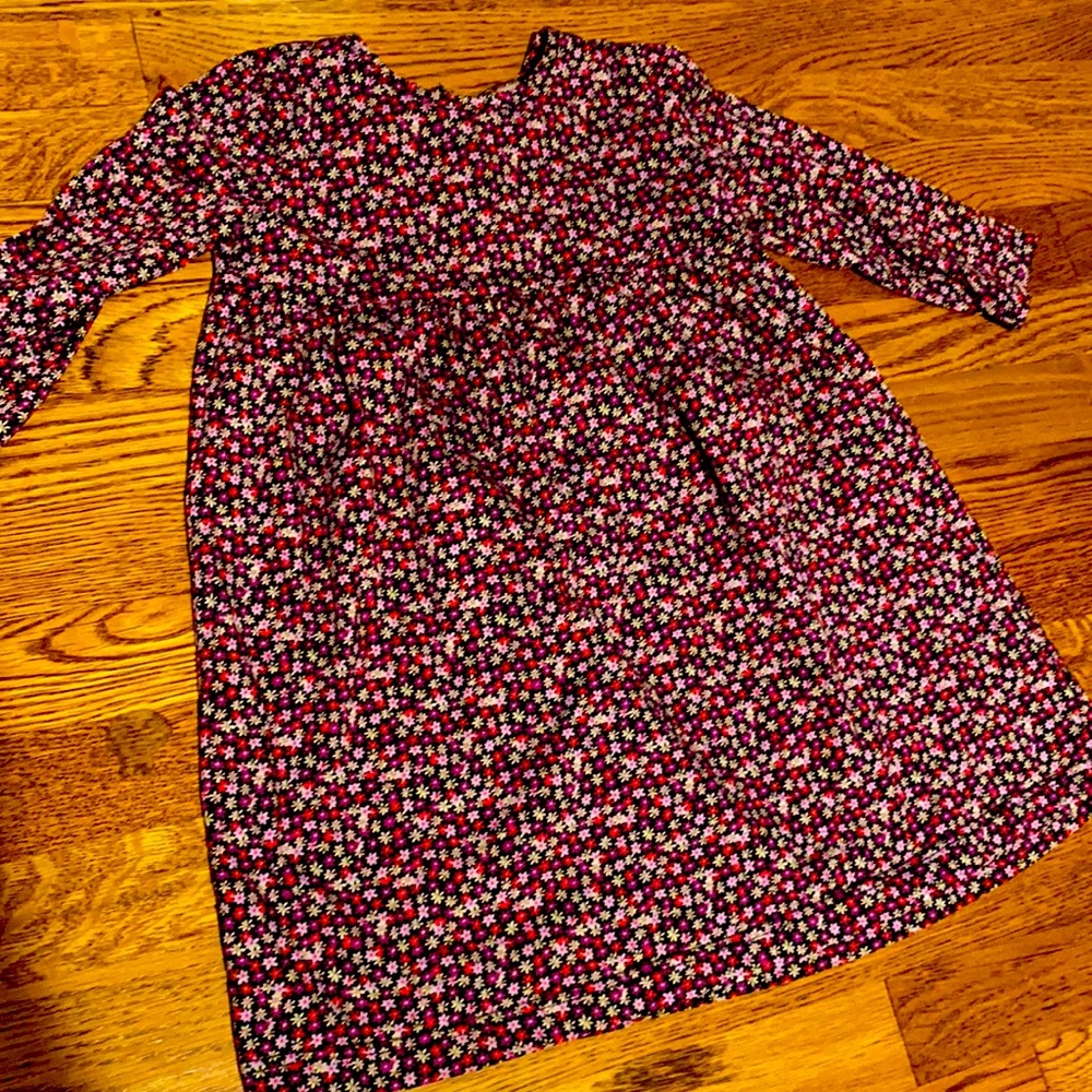 Hanna Andersson floral print dress